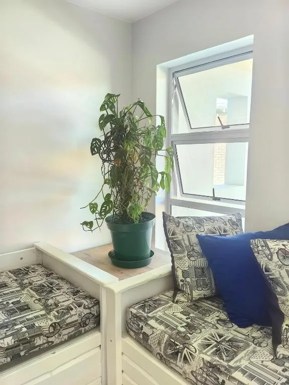 Cozy seating nook with patterned cushions and potted plant by window