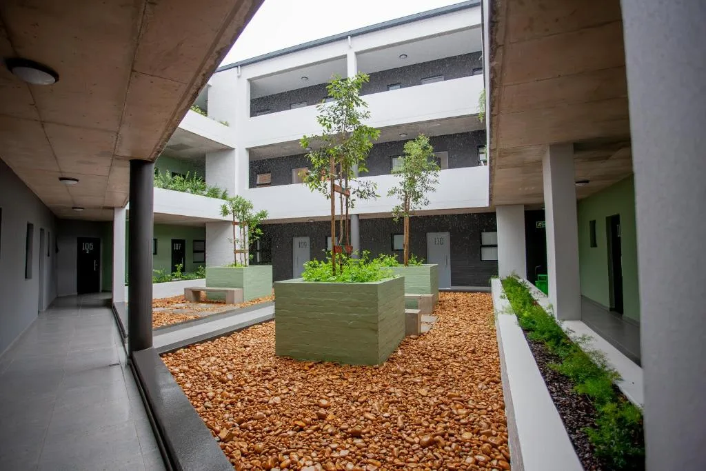 Modern apartment courtyard with planted trees and contemporary architecture
