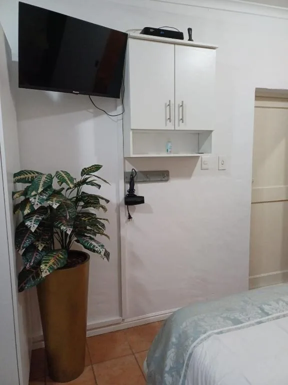 Bedroom with wall-mounted TV, storage cabinet, and potted plant decor