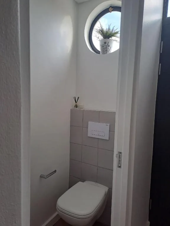 Modern toilet with round window overlooking palm tree garden