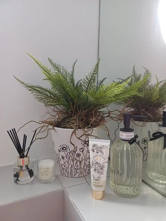 Potted plant with decorative candles and botanical toiletries on shelf