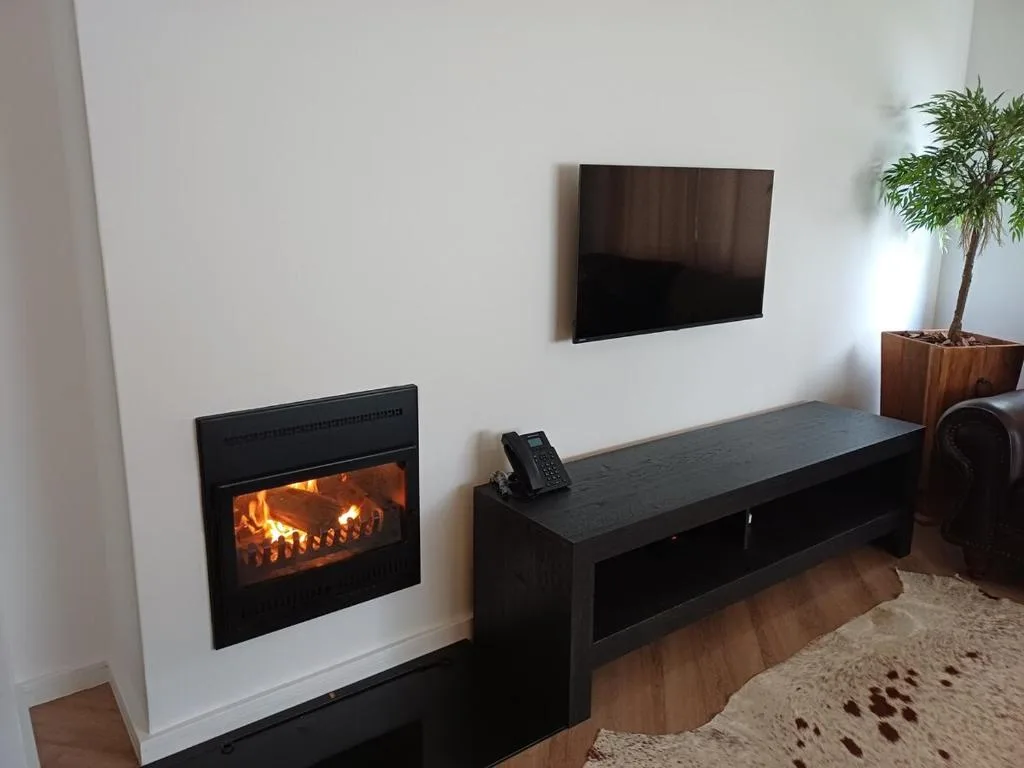Modern living room with fireplace, TV, black bench, and potted plant