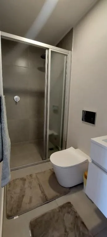 Modern bathroom with walk-in shower, toilet, and white vanity sink