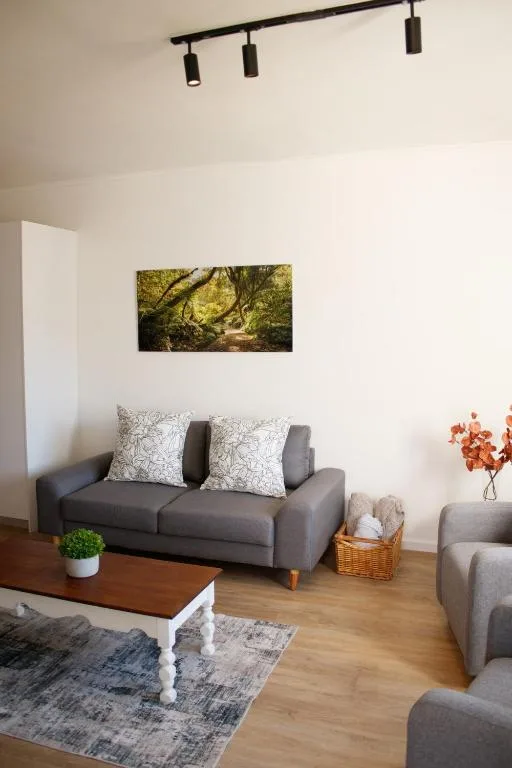 Modern lounge with gray sofa, forest artwork, and wooden coffee table