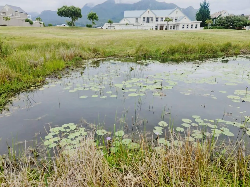 Scenic wetland pond with mountain backdrop and white manor house property