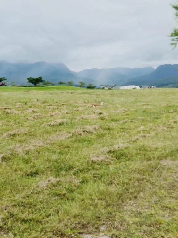 Scenic mountain landscape with lush green fields and distant peaks