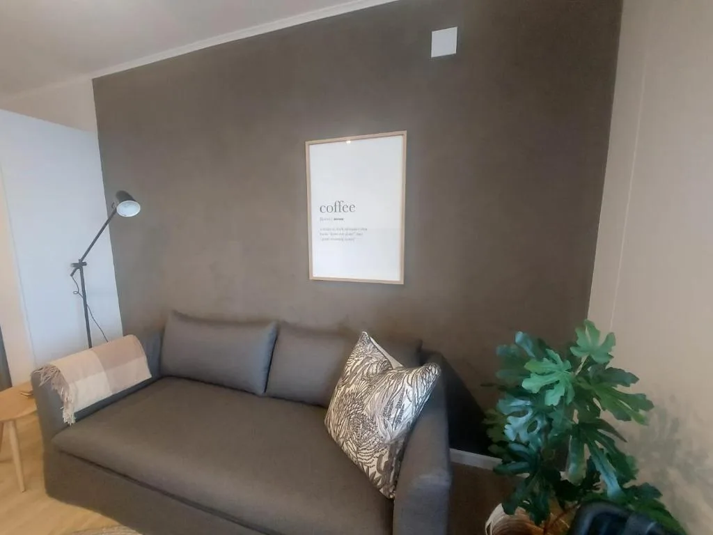 Modern lounge with gray sofa, decorative pillows, and potted plant