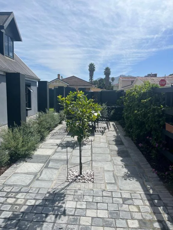 Paved courtyard with young tree, black fencing, and lush garden borders