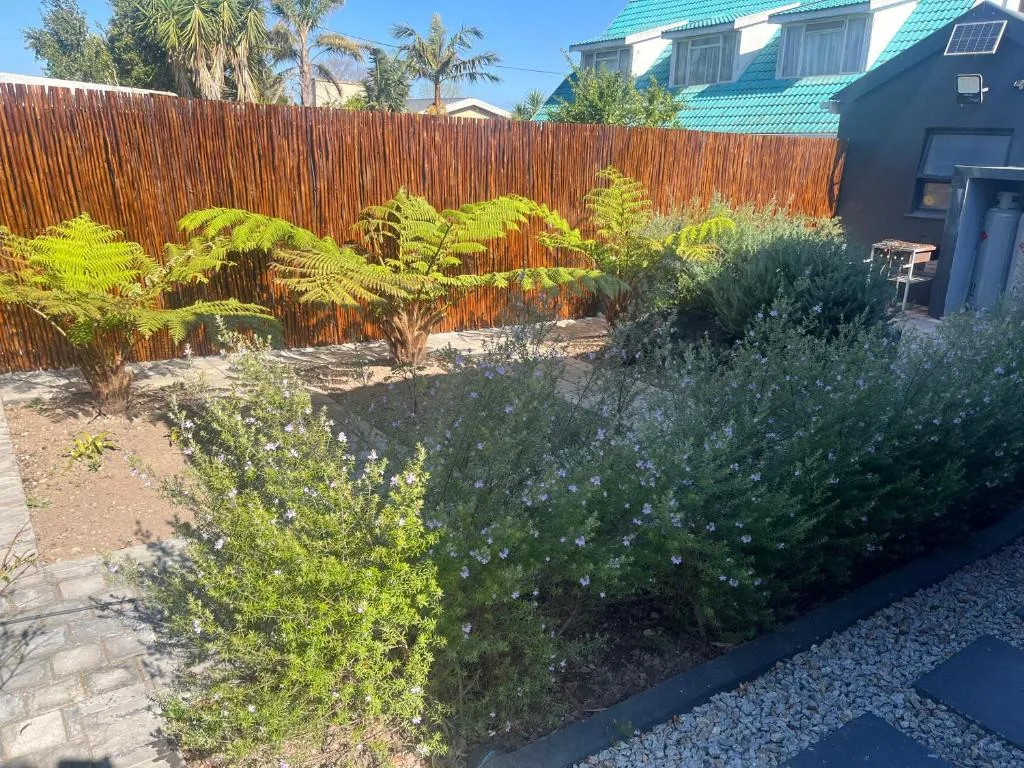 Garden courtyard with flowering shrubs, ferns, and wooden fence backdrop