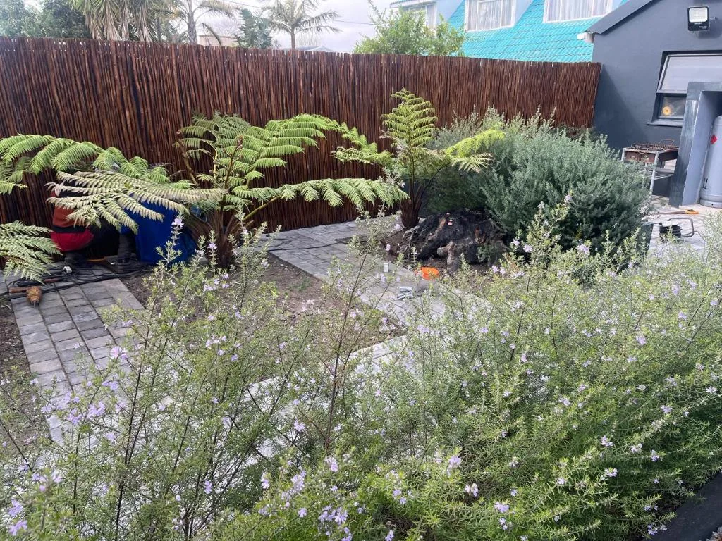Landscaped garden with ferns, flowering plants, and wooden fence