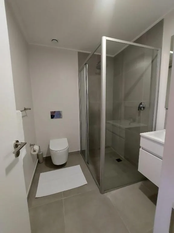 Modern bathroom with walk-in shower, toilet, and white vanity sink