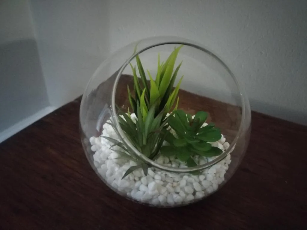 Decorative glass terrarium with succulents and white pebbles on wooden table