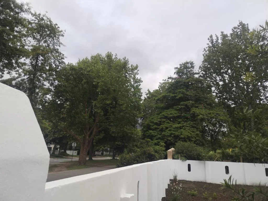 Modern white-walled property with mature trees and garden landscaping