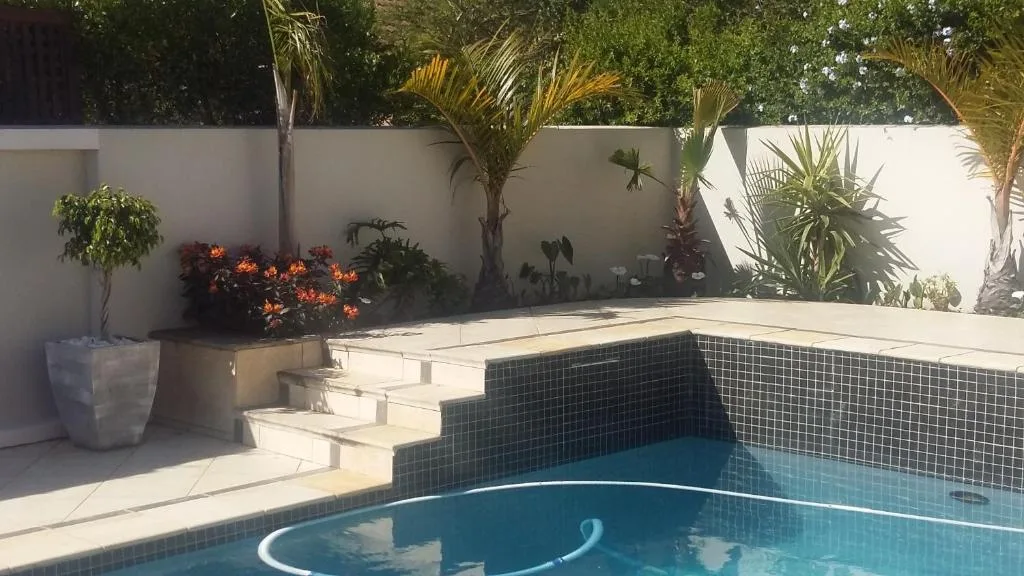 Swimming pool with blue water and tiled surround in sunny courtyard