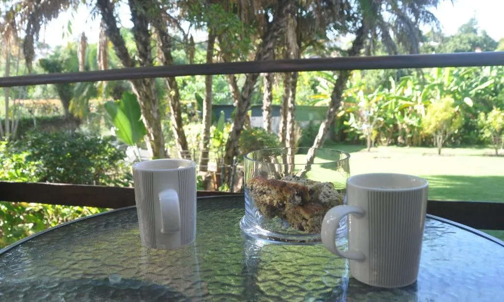 Garden view from outdoor deck with table, mugs, and mature trees