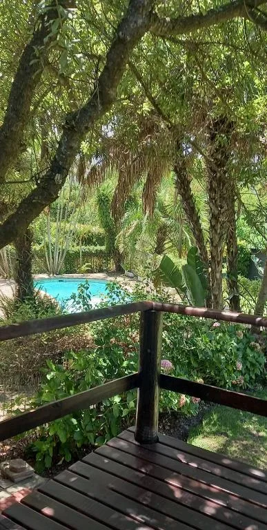 Wooden deck with pool view through mature trees and lush garden