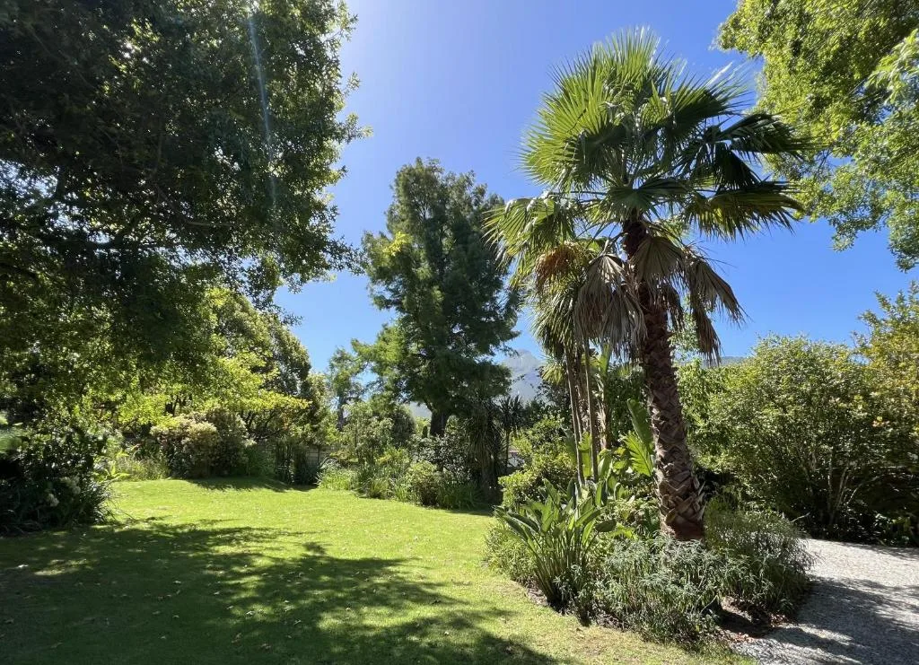 Lush garden grounds with palm tree and verdant landscaping under blue sky