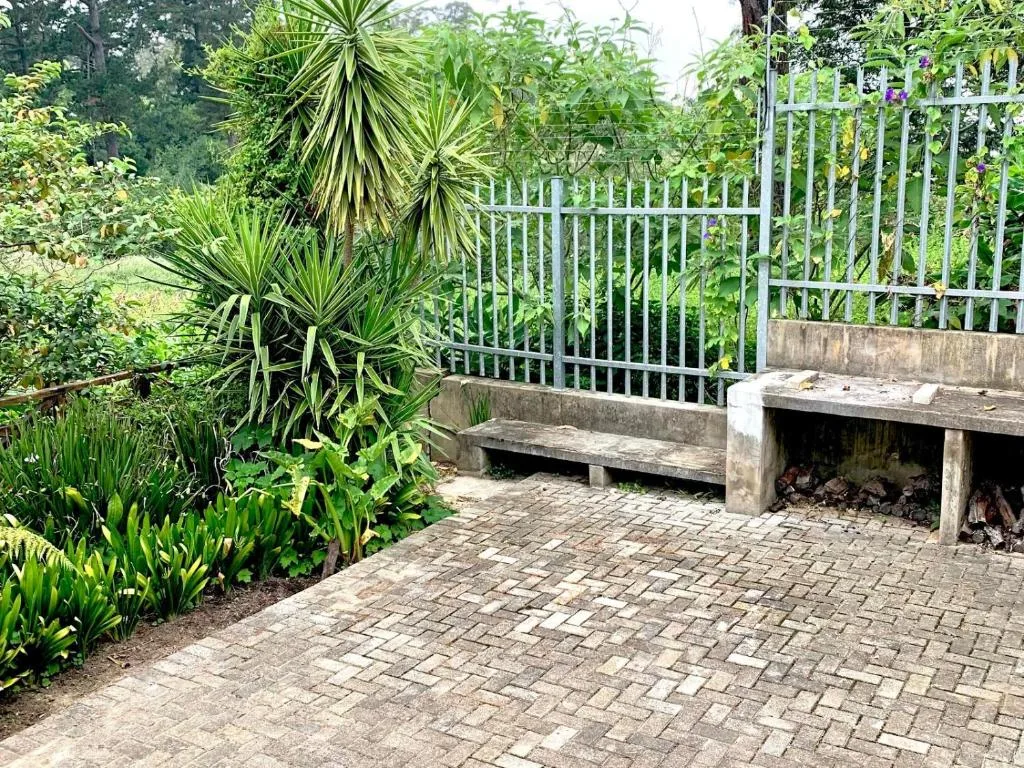 Paved patio area with tropical plants and concrete seating benches