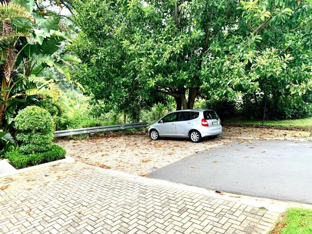 Driveway with parked white car surrounded by lush green trees and garden