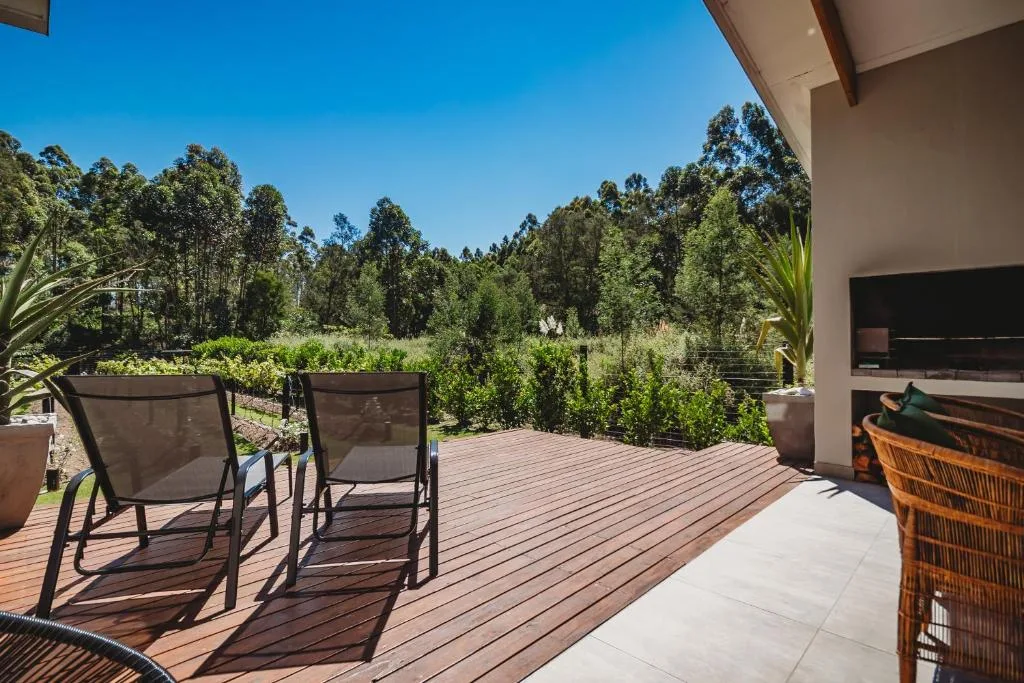 Wooden deck with lounge chairs overlooking lush forest landscape