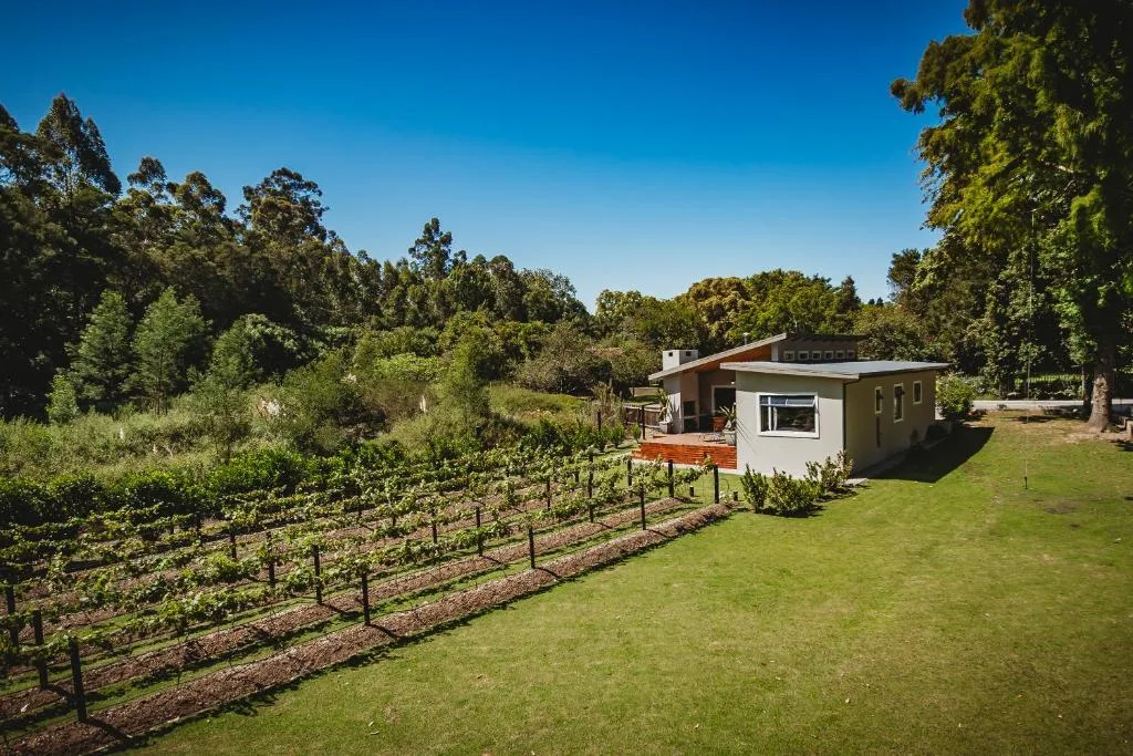 Modern cottage with deck surrounded by manicured gardens and vineyard
