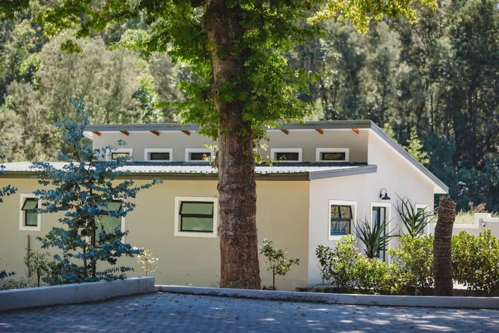 Modern cream and white apartment facade with mature tree and garden surroundings