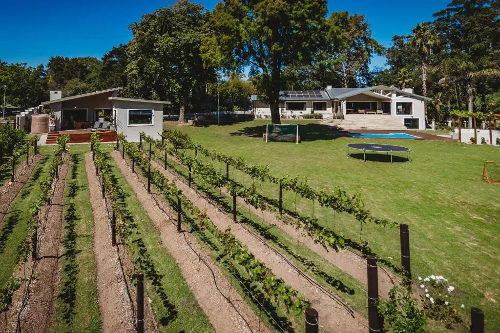 Modern property with vineyard rows, manicured lawns, and mountain trees backdrop
