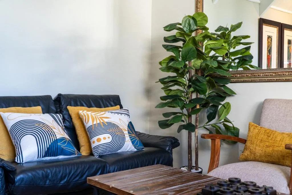 Modern living room with dark leather sofa, geometric pillows, and potted plant