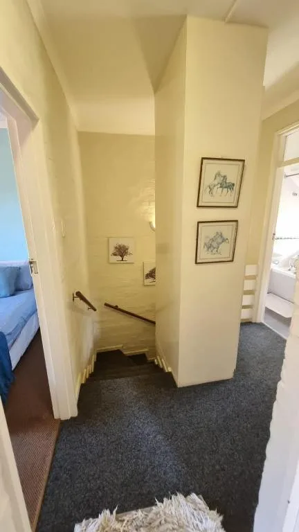 Cream-colored hallway with framed horse artwork and dark carpet flooring