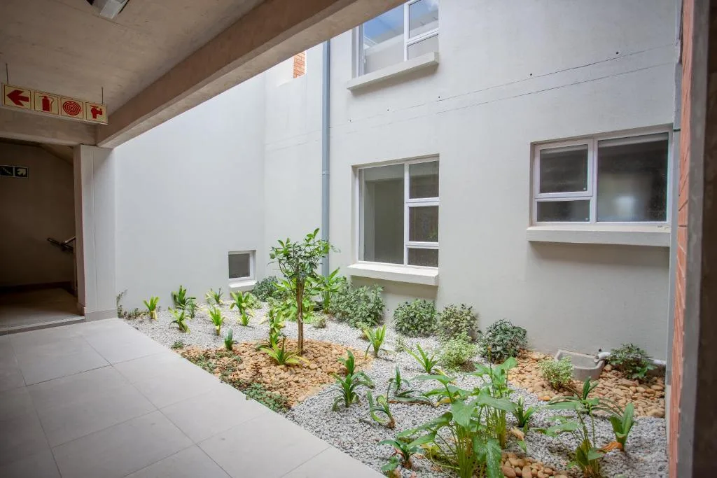 Modern courtyard with potted plants and white rendered walls