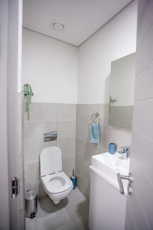 Modern bathroom with wall-mounted toilet, sink, and decorative trailing plants