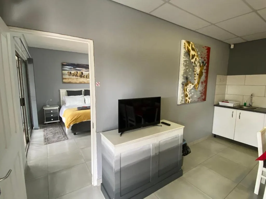 Open-plan living area with TV, kitchenette, and bedroom view