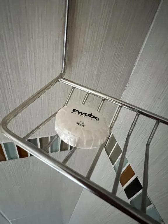 Shower enclosure with Swube showerhead and color palette samples displayed