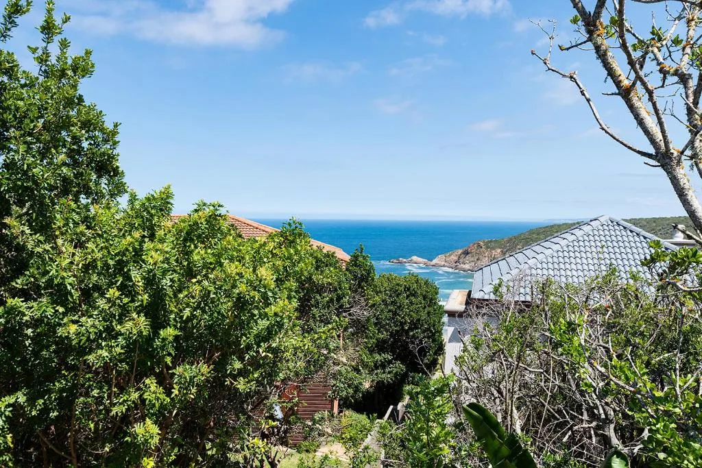 Ocean and coastal cliffs visible through lush green garden vegetation