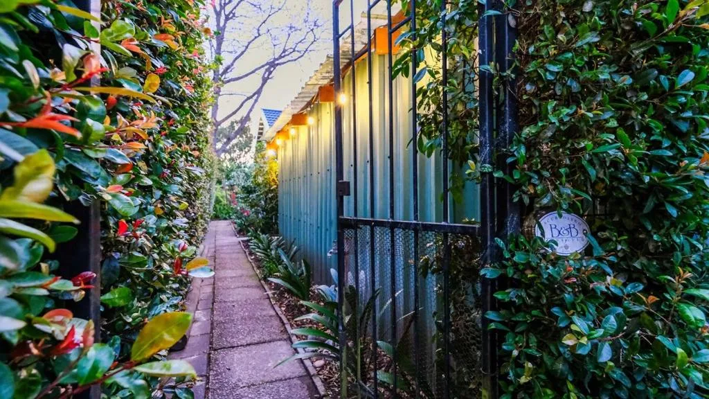 Garden pathway with lush flowering vines leading to modern corrugated iron building entrance