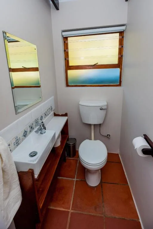 Compact bathroom with toilet, sink, mirror, and terracotta tile flooring