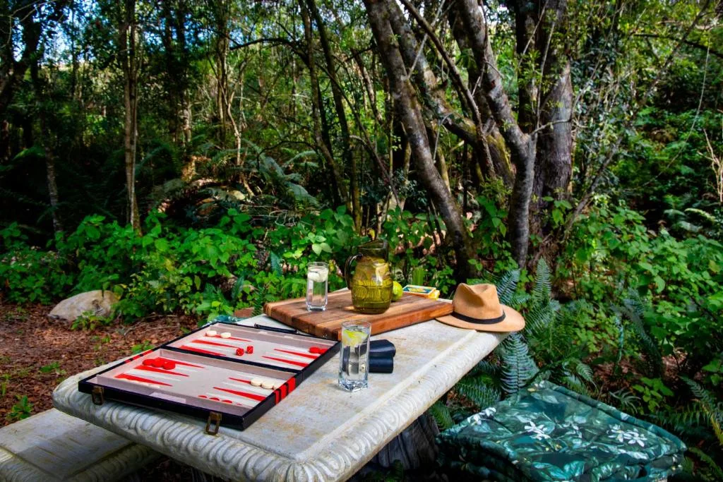 Outdoor game table nestled in lush forest setting with trees and greenery surrounding