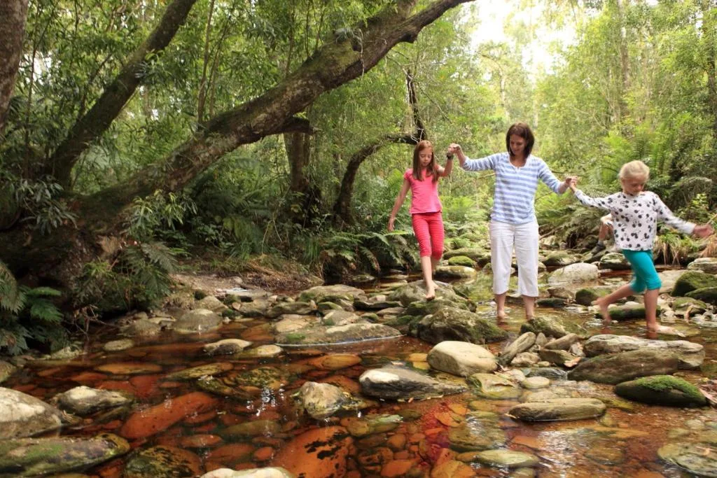 Children enjoying a rope swing over a forest stream with moss-covered rocks