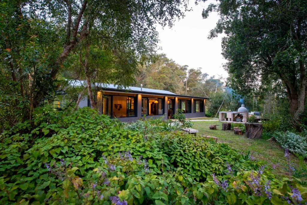 Modern cottage nestled among tall trees with lush garden landscaping