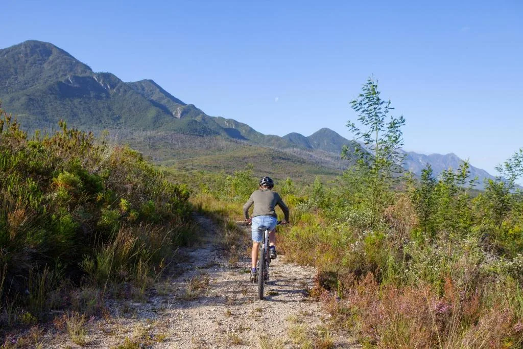Mountain range visible from property with cycling trail through fynbos landscape