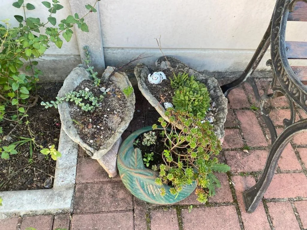 Potted succulents and trailing plants arranged near brick patio entrance