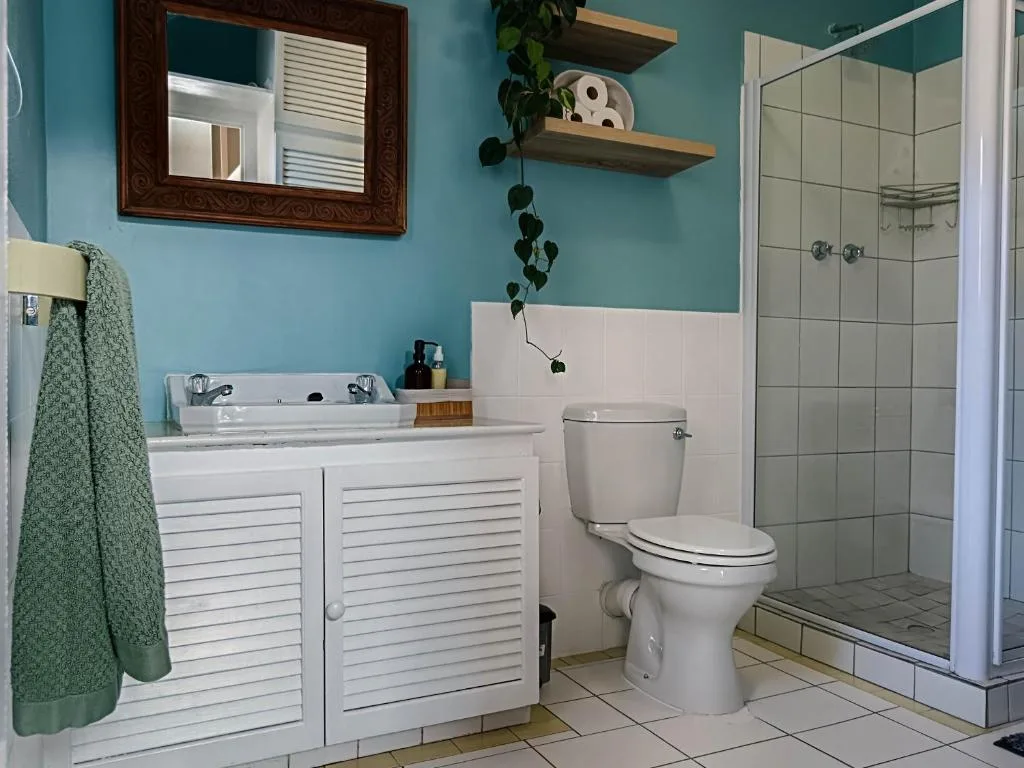 Turquoise and white bathroom with vanity, toilet, and walk-in shower