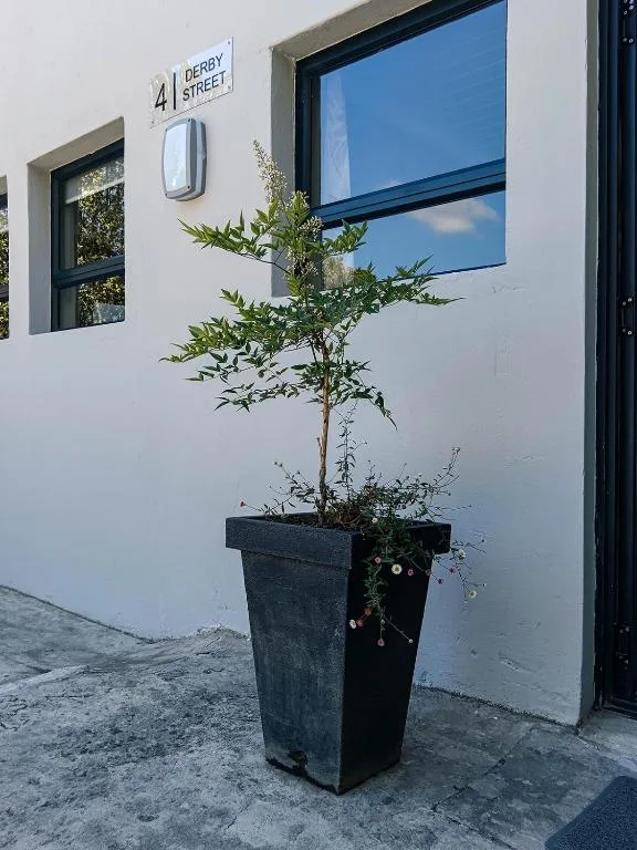 Modern white apartment facade with Derby Street address and potted plant entrance