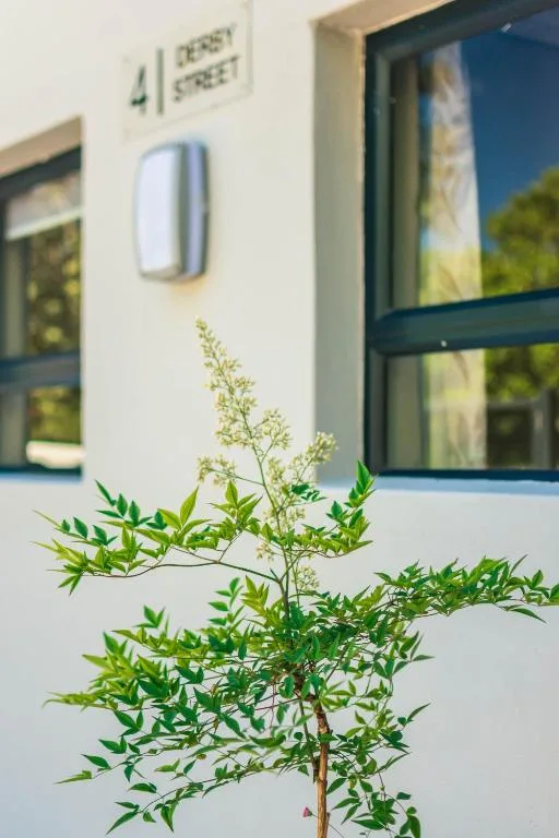 Modern white apartment facade with green window frames and potted plant