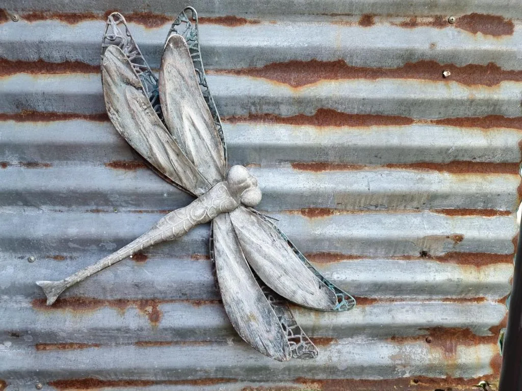 Decorative metal dragonfly sculpture mounted on rustic corrugated metal wall
