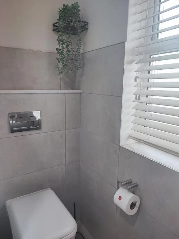 Modern bathroom with toilet, gray tile walls, and decorative hanging plant