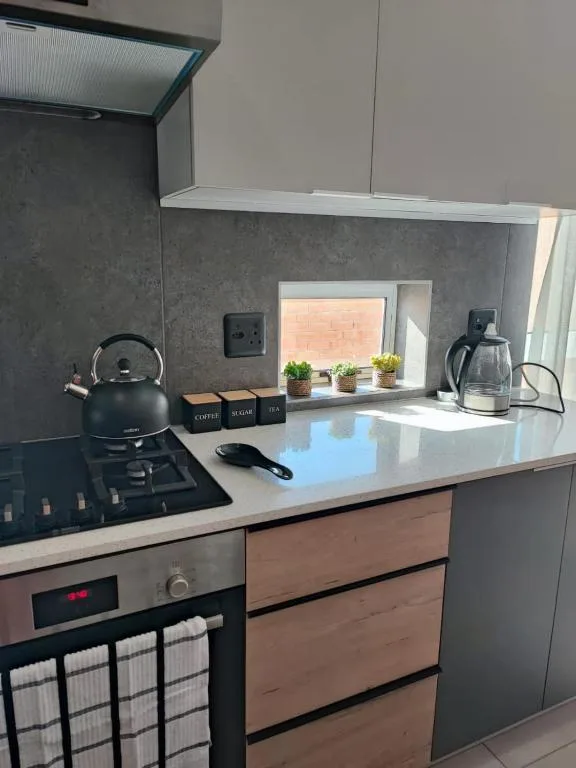 Modern kitchen with gas cooktop, white countertop, and potted plants on windowsill