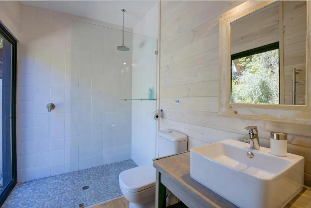 Modern bathroom with walk-in shower, white vanity sink, and toilet