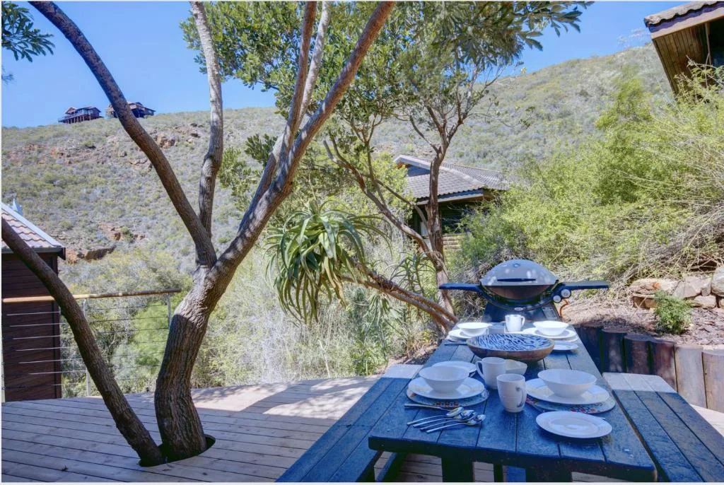 Outdoor dining table set under native tree on wooden deck with hillside views