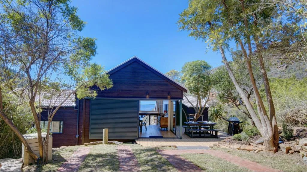 Modern dark wooden cabin nestled among tall trees with mountain backdrop visible